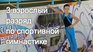 3 взрослый разряд по спортивной гимнастике.