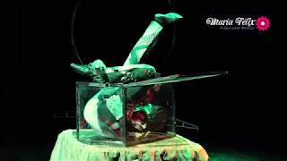 Contorsionista - Sagitario