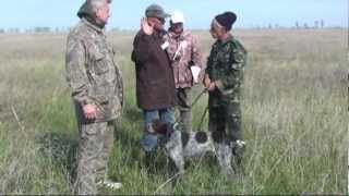 483. (18)  Дратхаар Берта - Эпаньол Бретон Эва