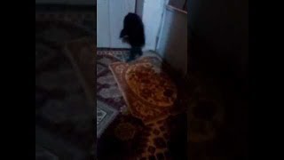 Домовой в Калуге(д.Куракино)Реальные факты.