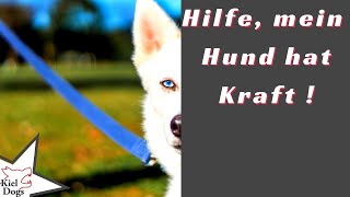 Hund zerrt an der Leine? Den Hund halten können! – Handgriff für mehr Kraft und Kontrolle