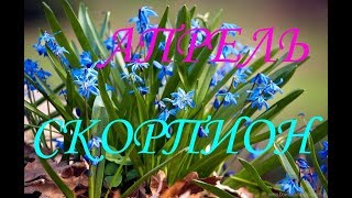 СКОРПИОНЫ. АПРЕЛЬ 2018. ТАРО-ПРОГНОЗ.