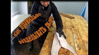 Как разделать рыбу на филе | Разделываем треску