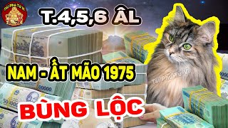 Ất Mão 1975 Nam Mạng Sắp GIÀU TO, Tiền Vàng Kéo Về Ùn Ùn Nếu Biết Điều Này 3 Tháng Tới