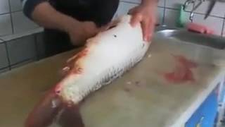 Как быстро разделать сазана