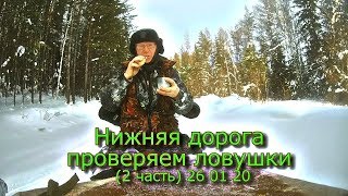 Нижняя дорога проверяем ловушки (2 часть) 26 01 20