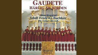 Gaudete - Sinfonia - In dulci jubilo