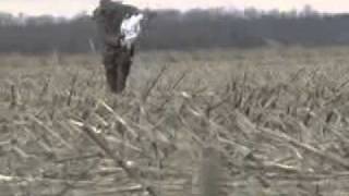 Snow Goose Hunting NC to the Canadian Border