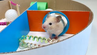 My Funny Pet Hamster in 6-Level Maze