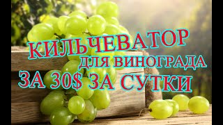 Кильчеватор для винограда за 30$ за сутки