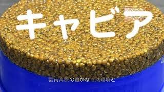 How to make Caviar  キャビア Amur Caviar （アムールキャビア）,
