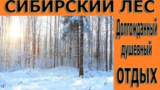 "СИБИРСКИЙ ЛЕС"Долгожданный душевный отдых"ПРИВЕТЫ"/"SIBERIAN FOREST" The long-awaited peace rest