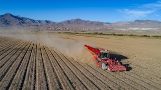 GRIMME VARITRON 470 | Tasteful Selections | Harvesting Specialty Potatoes in California