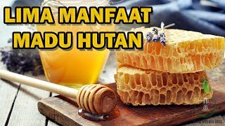5 Manfaat Menarik Madu Hutan untuk Kesehatan – Lebih Unggul Dibandingkan Madu Biasa