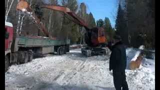 Погрузка длинномерных бревен лиственницы