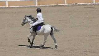 Prueba de 50 cm (1)~ Liga Granadina de Salto en la Real Sociedad Hípica de Granada