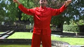 Introducción al Tai Chi. Guía para Principiantes Completo