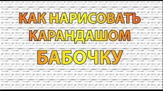 Видео: Как нарисовать БАБОЧКУ карандашом поэтапно для начинающих?