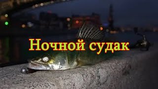 Константин Кузьмин. Ночной судак (сеанс видео-чата), 2013