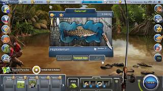 Hoplosternum - Go Fishing Facebook (Fish, Bait, Tips & Trik)