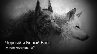 ПЕСНЯ СО СМЫСЛОМ