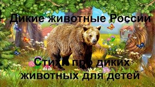 Дикие животные России Стихи про диких животных