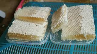 0856-4840-4735 (Bu Sofi) Jual Grosir Sarang Madu Lebah Asli di Padang Jakarta Timur Denpasar Depok