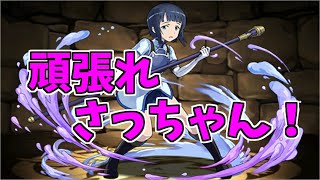 【表異形】さち～地味～に単体火力は高めだったり…ｗ～【パズドラ実況】