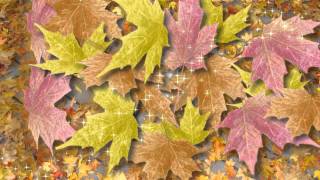 Blowing Leaves Transition
