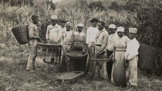 1888: l'abolition de l'esclavage au Brésil
