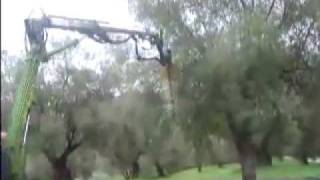 Τίναγμα ελιάς 1 τηλ. 6936335195 www.agrotika-mixanimata.gr