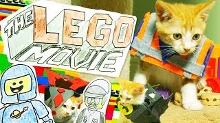 The LEGO Movie (Cute Kitten Version)