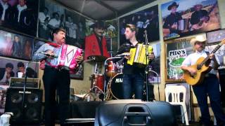 Dueto de Acordeones - Viva Seguin y Huapango El Dedos de Oro