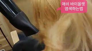 #애쉬바이올렛염색하는법 #청주미용실 #청주염색 #청주머리잘하는곳 #에비수헤어서문2호점
