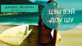 #34 Дворец Жизни I Цзы Вэй Доу Шу