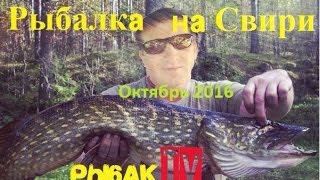 Рыбалка на Свири 2016. Рыбалка в октябре. Ладожское озеро.