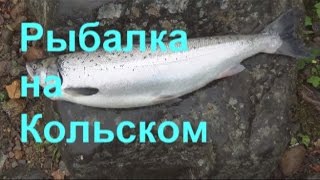 Рыбалка на Кольском .   Пятый хвостик !