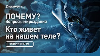 Кто живет на нашем теле? | Почему? Вопросы мироздания | Discovery