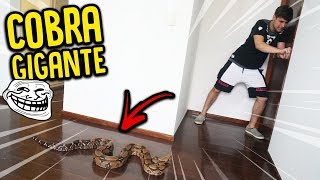 PRENDI O REZENDE COM UMA COBRA GIGANTE !! ( A VINGANÇA ) - TROLLANDO REZENDE [ REZENDE EVIL ]