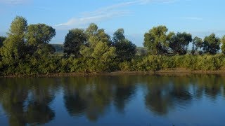 Природа река натуральный футаж фон для монтажа видео footage hd footage hd