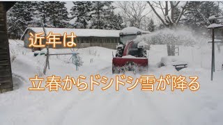 サンタのトコロ　立春の朝