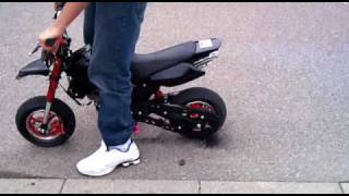 49cc Streetfighter Night Pocket bike. BURN