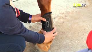 Comment poser des guêtres à mon cheval et mon poney !!!