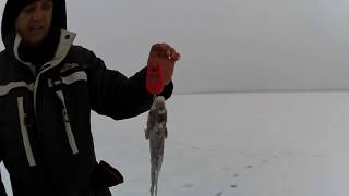 открытие сезона яуза 2018 2019