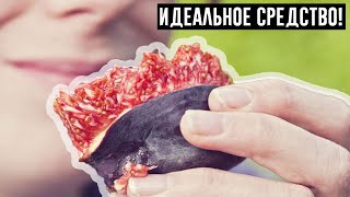 Идеальное Средство От Кашля, Стресса И Лишнего Веса!