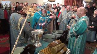 Освящение воды и свечей. Фрагмент 2012.02.15