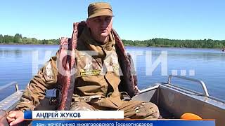 Ловили браконьеров, а поймали пенсионеров - операция «Нерест» на Волге
