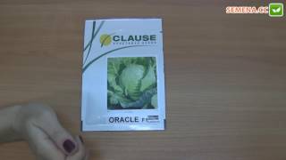 Оракл F1 капуста (Clause) Антифейк