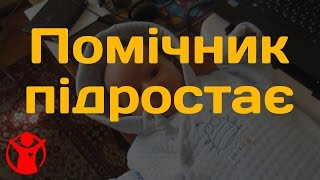 ✔Маленький помічник підростає. Марк вдома в кабінеті на робочому столі лежить. Марку 33 дні