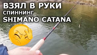 Спиннинг Shimano Catana- это не спиннинг! Проверка! Плетенка для спиннинга. Ловля щуки на спиннинг.